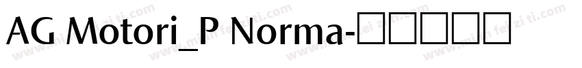 AG Motori_P Norma字体转换